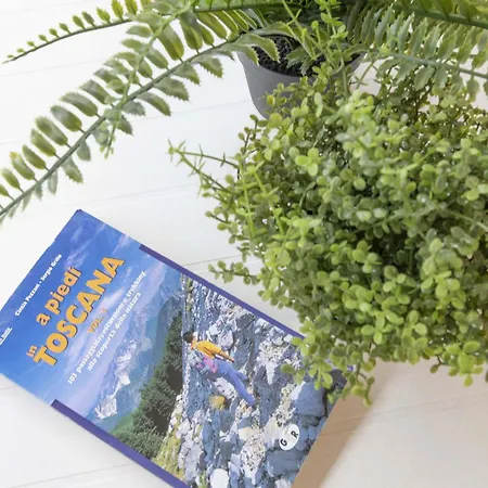 Italian Experience-villa Monte Gabberi *
